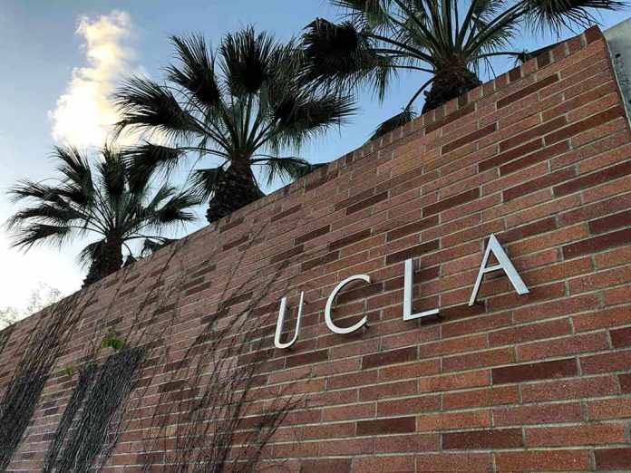 1054420328 Brick wall with "UCLA" lettering and palm trees.