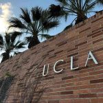 Brick wall with "UCLA" lettering and palm trees.