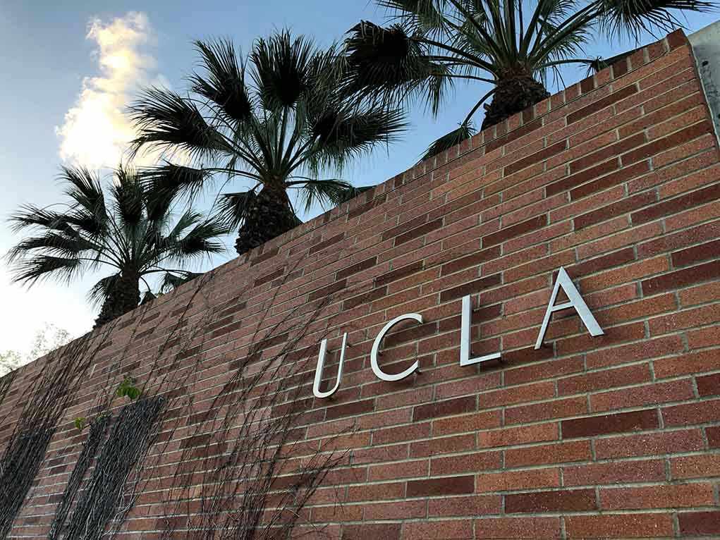 Brick wall with "UCLA" lettering and palm trees.