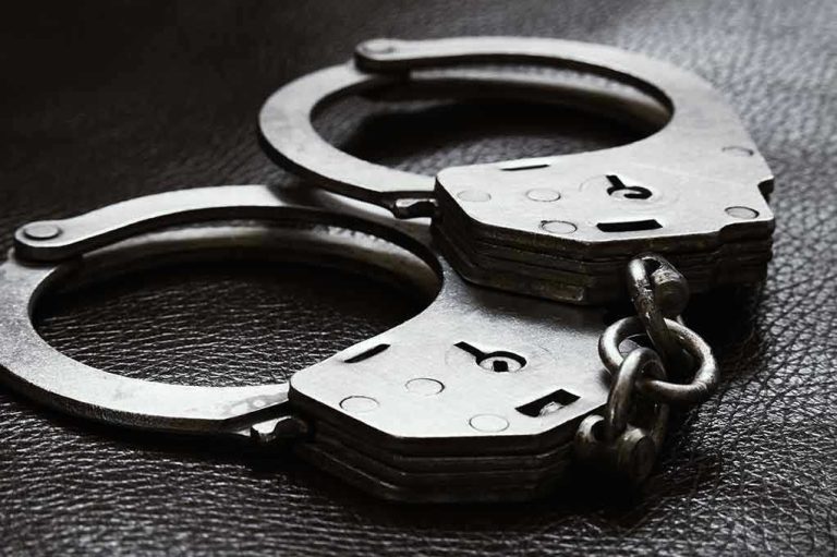 Matriarch’s Murder Plot DEADLY Family Feud! News Ranger