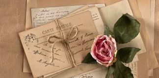 A collection of vintage postcards and a dried rose arranged on a textured background