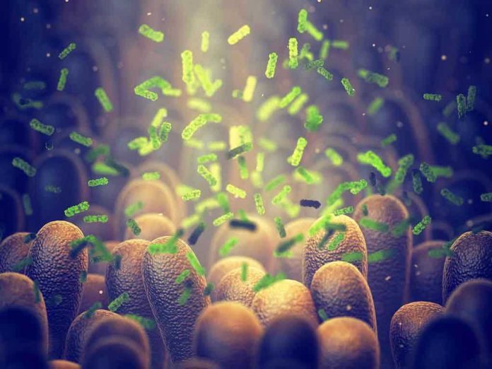 1495084595 Green bacteria among intestine lining cells, microscopic view.