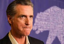 Celeb Icon TURNS on Newsom – Completely Destroys Him Man in suit, solemn expression, purple background with bear drawing.