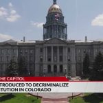 Dems Introduce Bill LEGALIZING Prostitution - First Of It's Kind