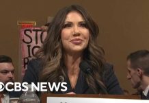 Activist Chaos Derails Senate Hearing - STORMS Building