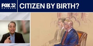 The Amount Of US Births to Illegals In One Year Is STAGGERING