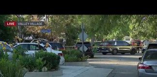 LAPD investigating death of 4-year-old possibly left inside vehicle