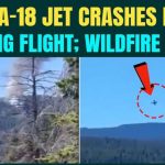 Fighter Jet CRASHES In Washington – Pilot Ejected! U.S F/A-18 Hornet Crash BREAKING: Trump’s Jet Went Down in Washington During Training Mission