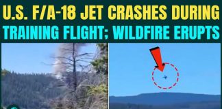 Fighter Jet CRASHES In Washington – Pilot Ejected! U.S F/A-18 Hornet Crash BREAKING: Trump’s Jet Went Down in Washington During Training Mission