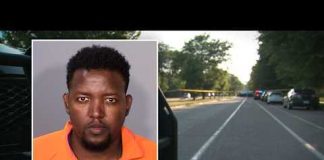 Migrant Maniac Kills 3 in Psychotic Attack Suspect in St. Paul triple homicide makes first court appearance