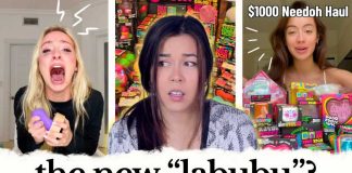 How This $5 Plastic Toy Became an Overconsumption Nightmare