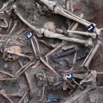 Human skeletal remains in an excavated mass grave