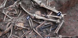 84-Year Mystery Ends, WW2 Soldier Finally Returned Human skeletal remains in an excavated mass grave