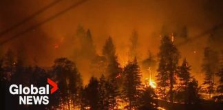 Global National: Aug. 8, 2026 | Explosive wildfire conditions push BC to declare state of emergency