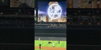 Sickening: Man Runs Onto Baseball Field – What He Does Is a Disgrace Person with Palestine flag rushes field at Yankee Stadium during 9/11 game