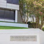 Modern office building with landscaped lawn and flowering trees