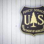 US Forest Service shield sign on a gray wooden wall