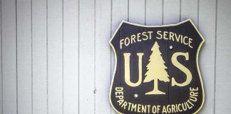 Trump Takes the Wrecking Ball to Biden’s Punishing Regulations on Hunters US Forest Service shield sign on a gray wooden wall