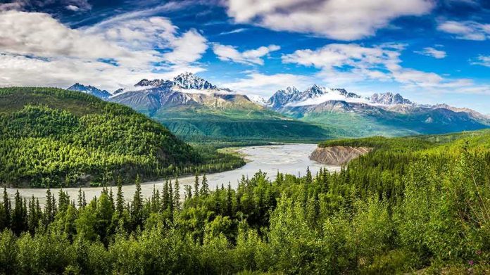 Snow-capped mountains above a winding river and dense green forest