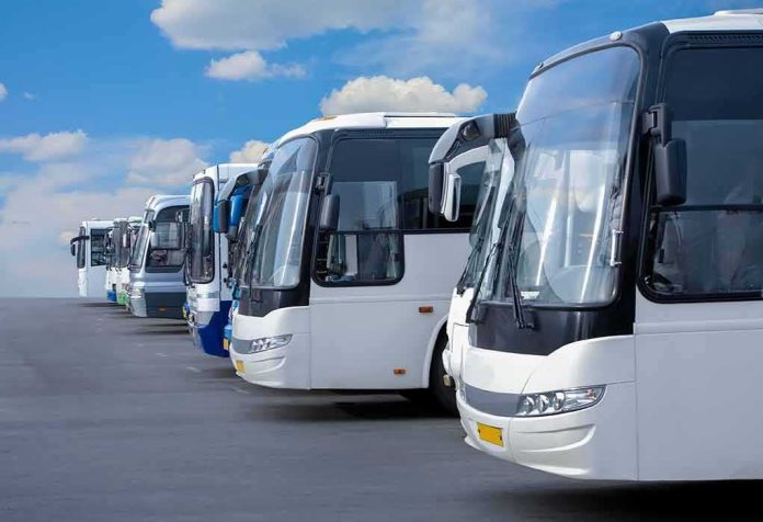 Row of modern coach buses parked in a line