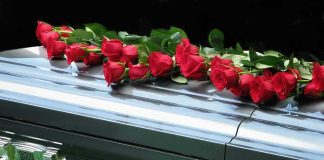 Red roses on a closed silver casket